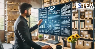 sap business one inventory module